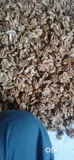 Walnut kernal