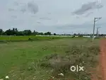 Open plot size 25 ankanams for sale near gudipallipadu, Narukur.