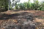 12 Cent land for sale.Chethipuzha, Changanacherry