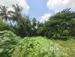 72 cent commercial land for sale in Mannarkkad, Palakkad