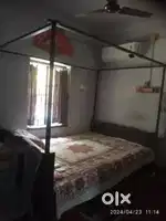Segun wood bed