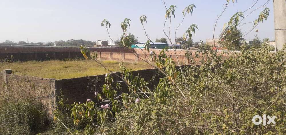 CNT FREE PLOTS HAZARIBAGH