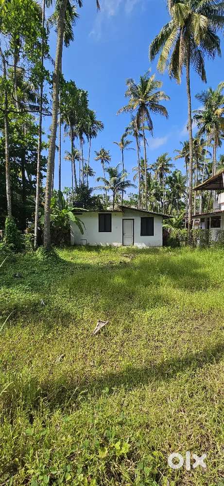 8 Cent Plot & 1BHK House for sale, Pokkulangara