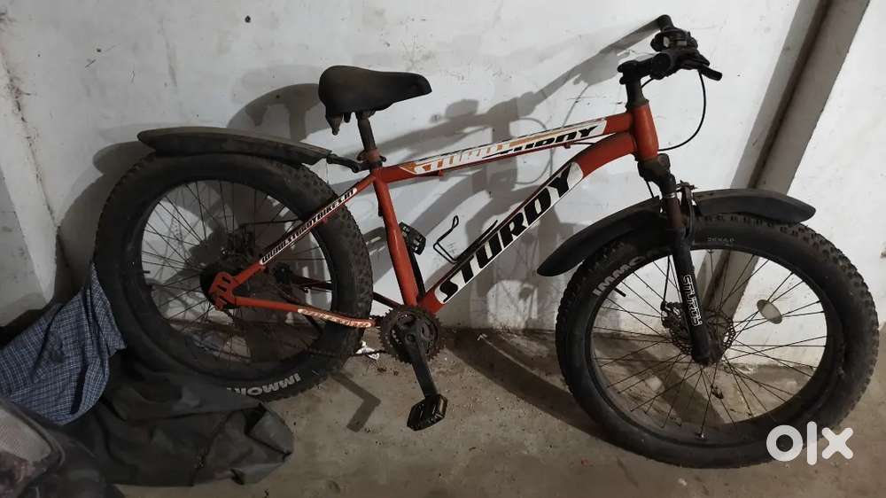 Study cycle used only 1year