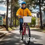 Food and grossary delivery boy (Indore)