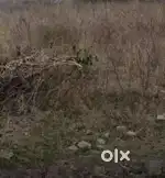 Good Location