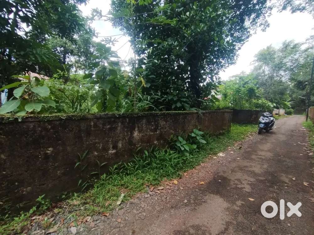 Nedumbassery near athani mekkad 12.5 cent house plot for sale