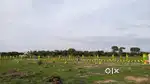 Dtcp Approved Villa Plot for sale @just1600RS per Sqft Maraimalainagar