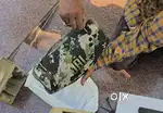 Brand new Jbl Xtreme 4 Camo