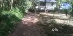 LAND FOR SALE AT KODANKARA - CHENKAL PANCHAYATH - NEAR NEYYATTINKARA