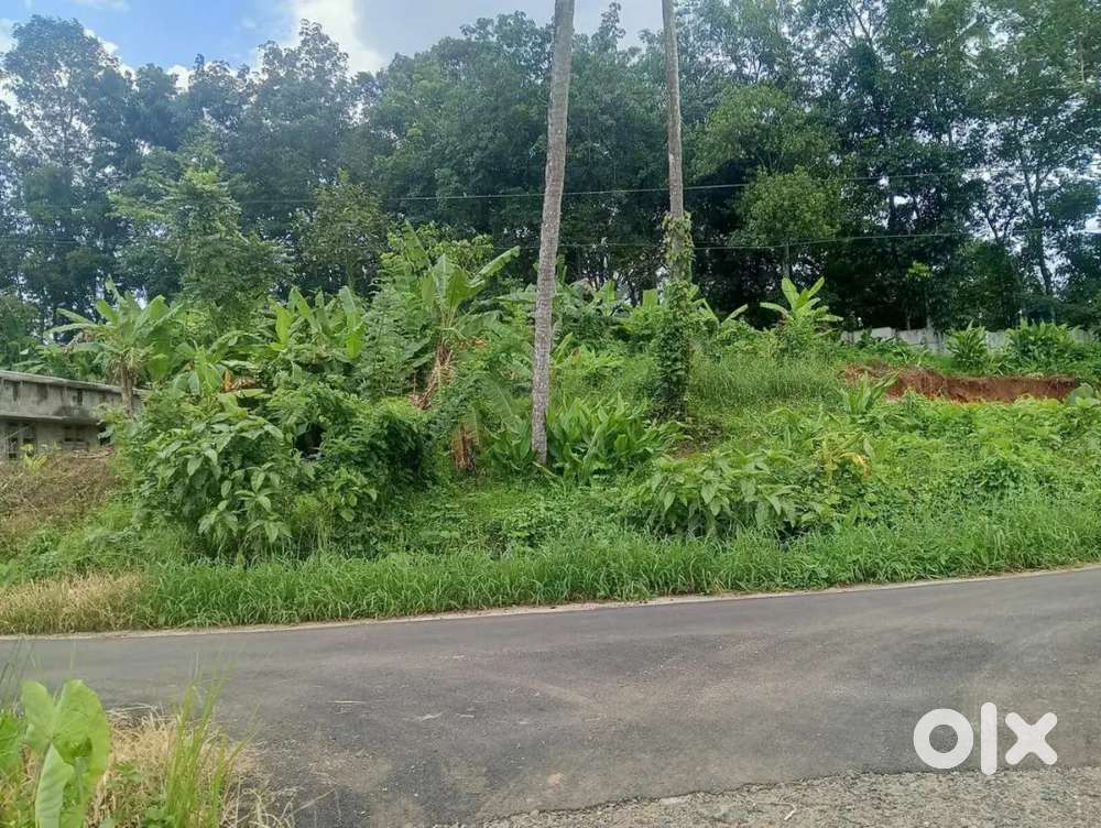 Kottayam kalathilpady 5 cent land for sale