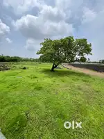 Manor 1 acre plot for sale immediately