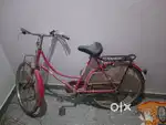 Daisy cycle