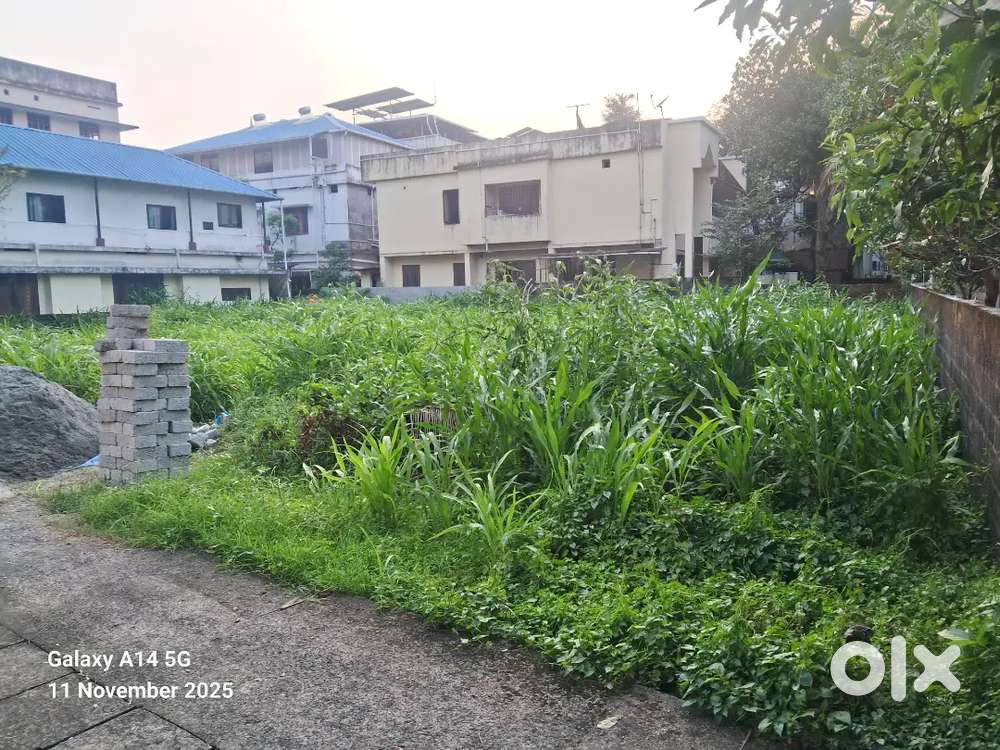 12 CENTS ORIGINAL LAND