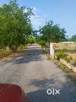 Site next to Vidyashilp university on ivc road