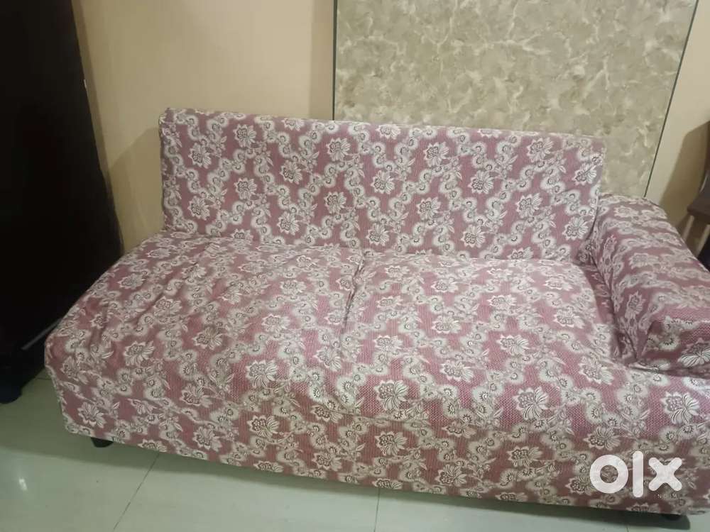 Two long and broad size sofa with cover and 2 cushion