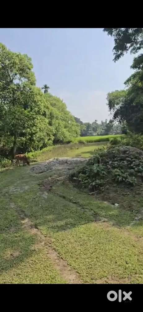 3 Katha land for sell near Chhaygaon