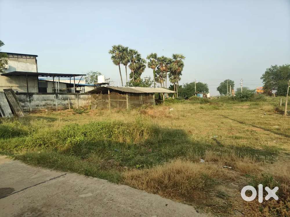 768 sqy open land for sale narakoduru near main road