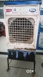 Decor cooler 2022
