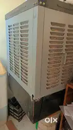 MS body  clooer