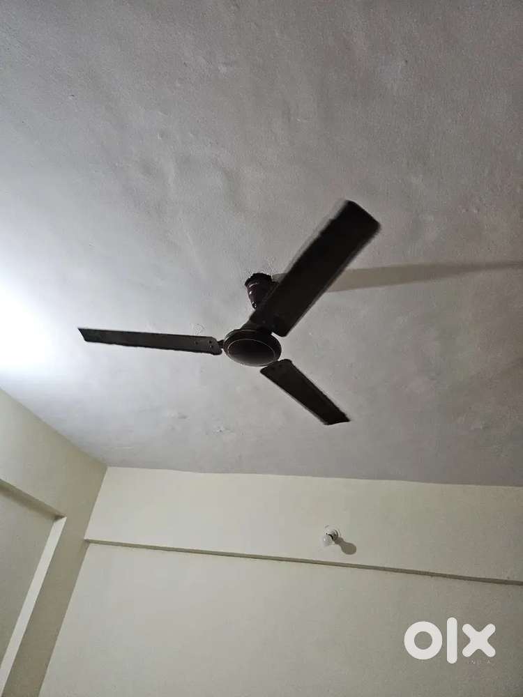 Ceiling fan and Gas burner chula