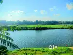 33 cent periyar water front land for sale in kalady,airport,angamaly