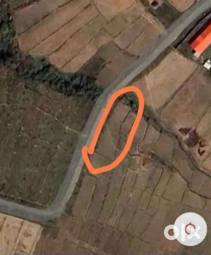Lambi mapan ni