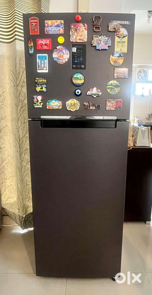 Samsung 322L BESPOKE Double Door Refrigerator