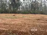 20 CENT HOUSE PLOT FOR SALE IN MEENANGADI