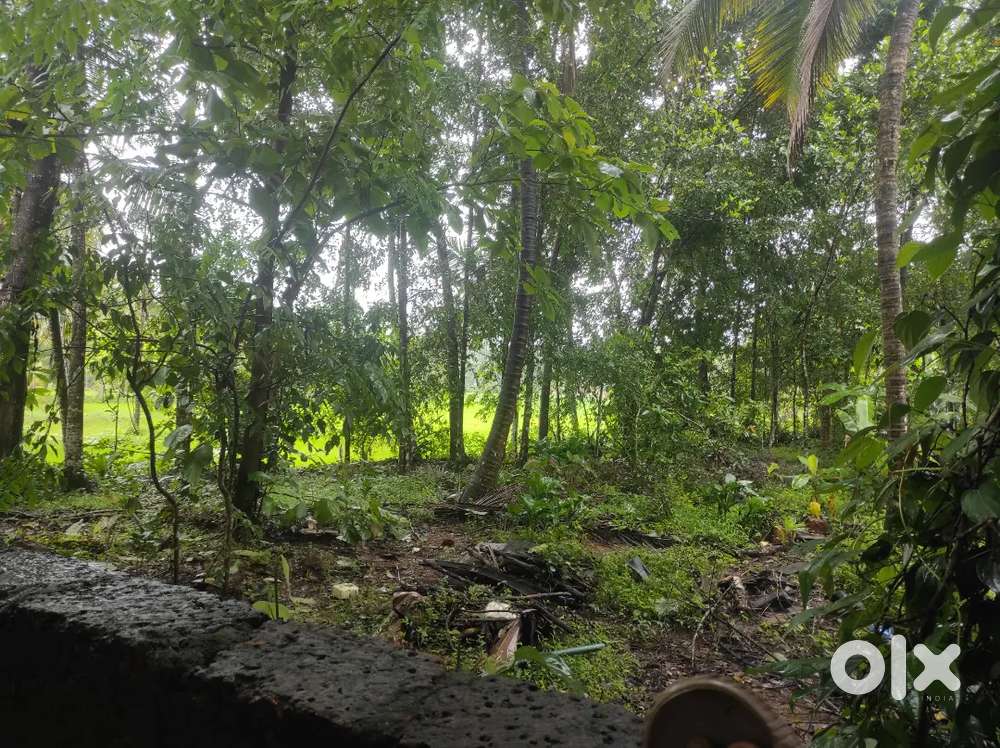 സ്ഥലം ആവശ്യമുണ്ട്