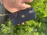I phone 12