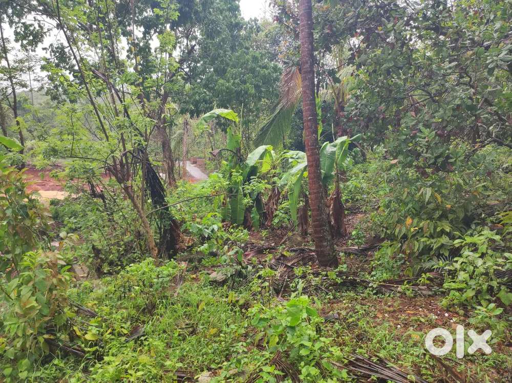 80 cent land for sale(per cent 140000)