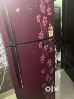 Godrej double door