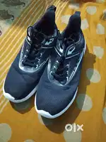 Bachne hai