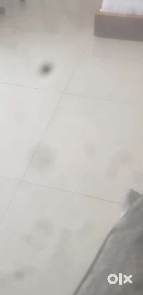 Giral student family