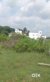 75 Cent Land for Sale in Vadavalli Area-Cent 5 Lakhs