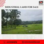 Industrial land for sale in Kozhinjampara, Palakkad