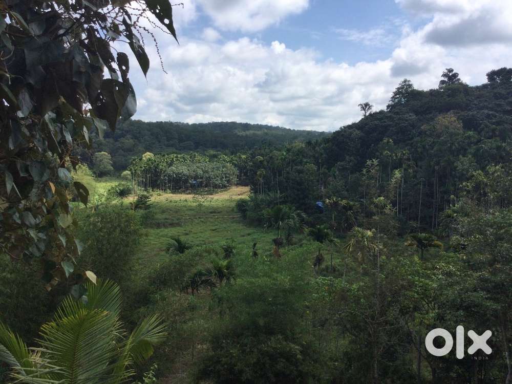 1.23 Acres with a Single Bedroom Cottage for 45 Lakhs