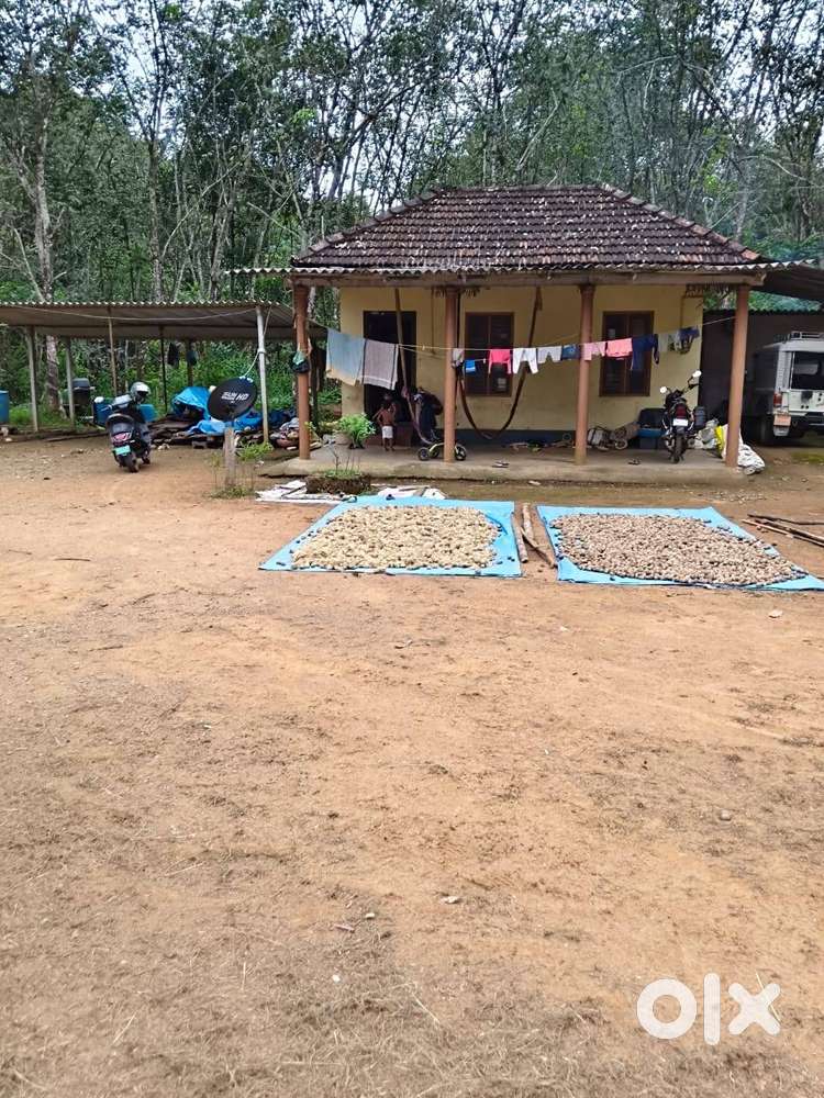 3.25 acre commercial conversion land with Home