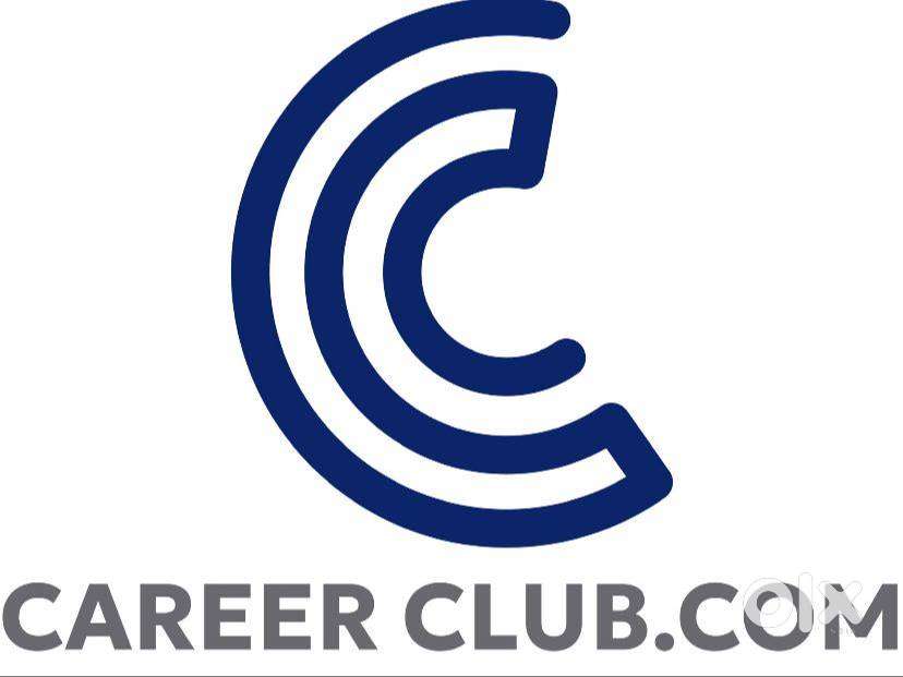 Sales Executive