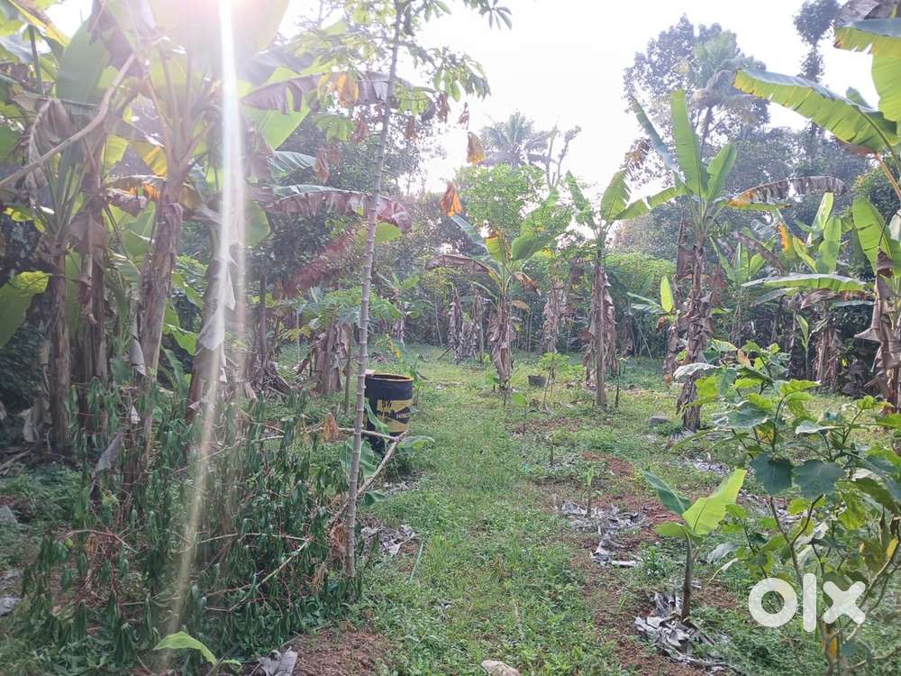 30 Cent Square Plot for Sale