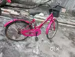 Cycle 916031