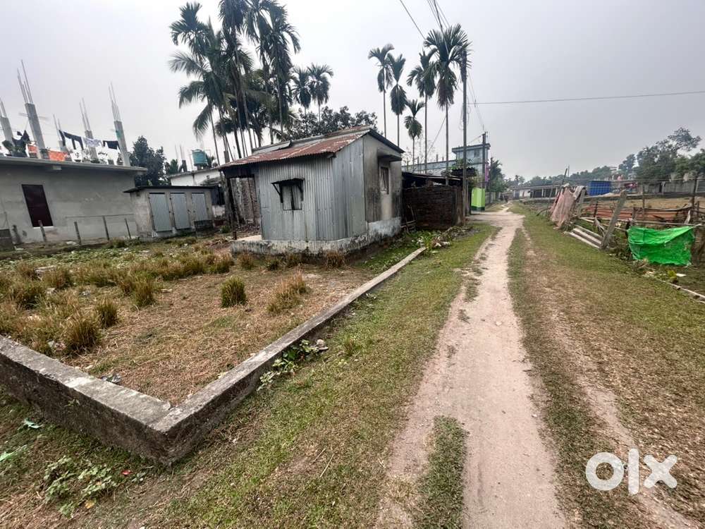 3 Kattha Residential Land for Sale in Volamore, Jamurivita, Siliguri