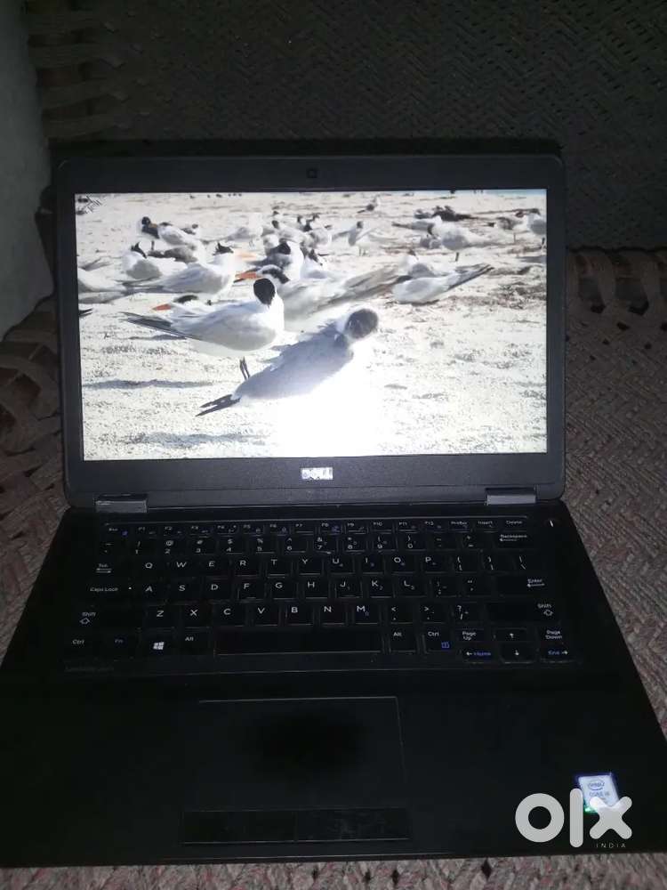 Laptop Dell official series