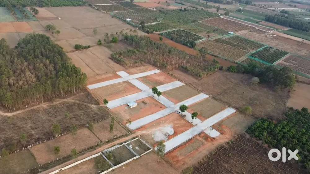 Plots and site's available
