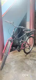 Siva, Annanagar, Tuty