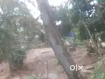 10cent plot near X=RAY BYE PASS cherthala