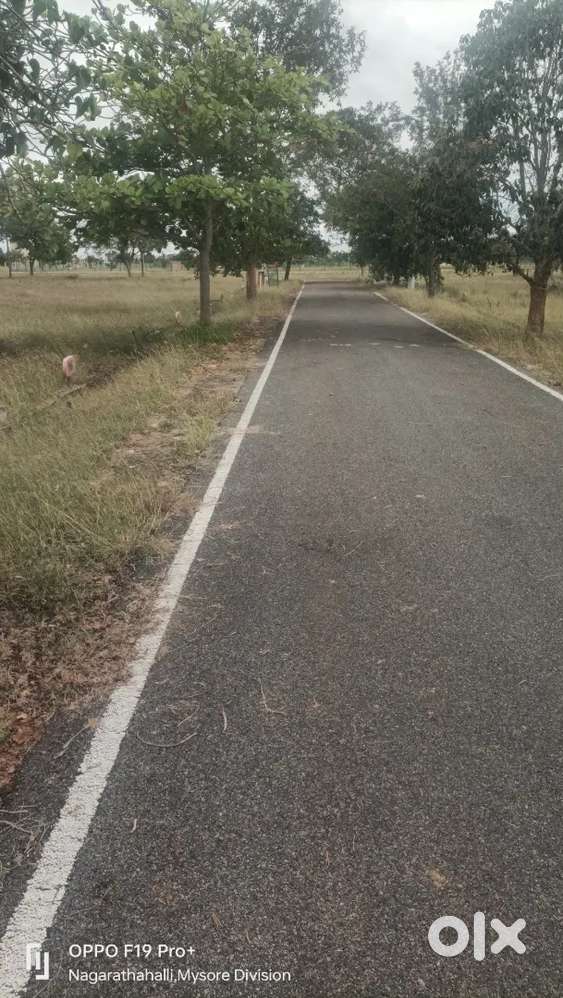 27/30 carner site for sale Muda action site