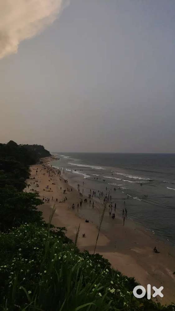 Experienced waiter (male or female)