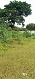 Plot at vedvyas for rent